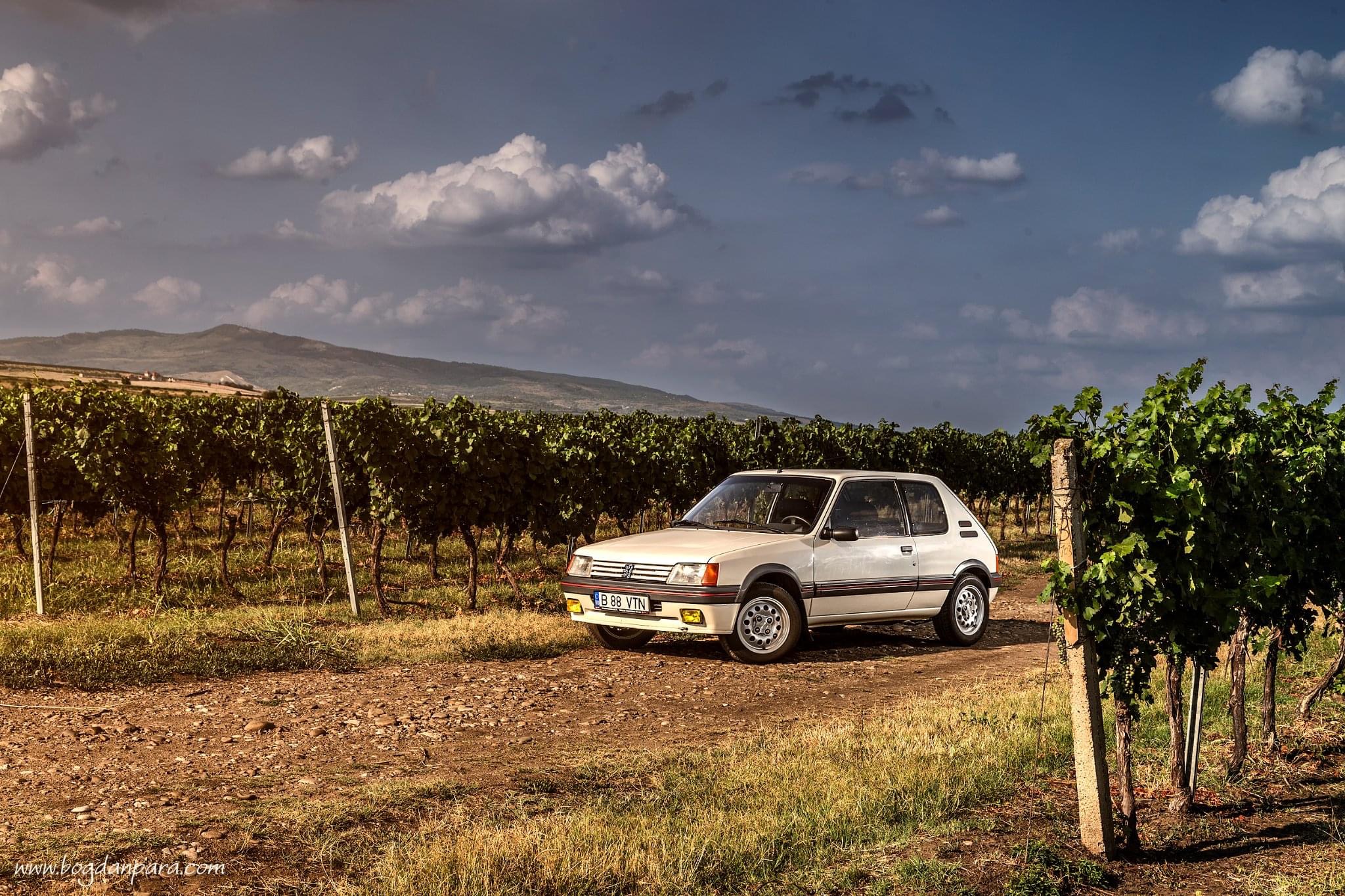 1988 Peugeot 205