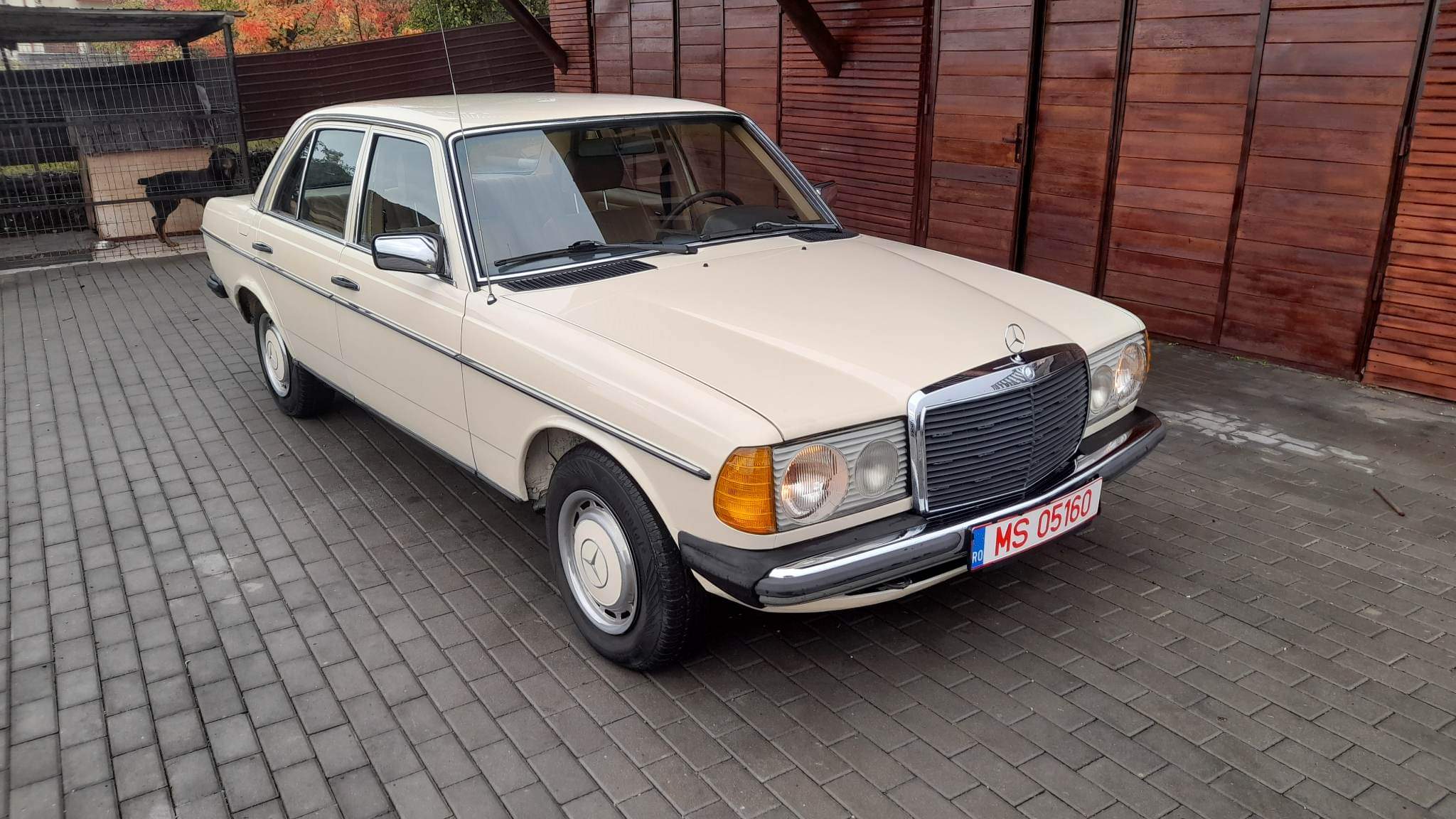 Mercedes w123 1980